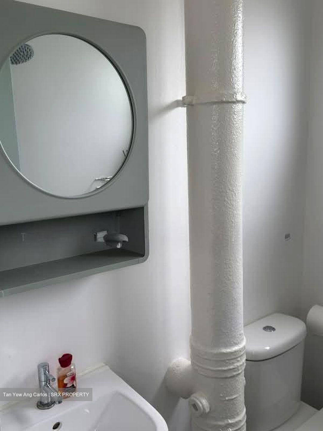 Blk 113 Potong Pasir Avenue 1 (Toa Payoh), HDB 3 Rooms #594633471